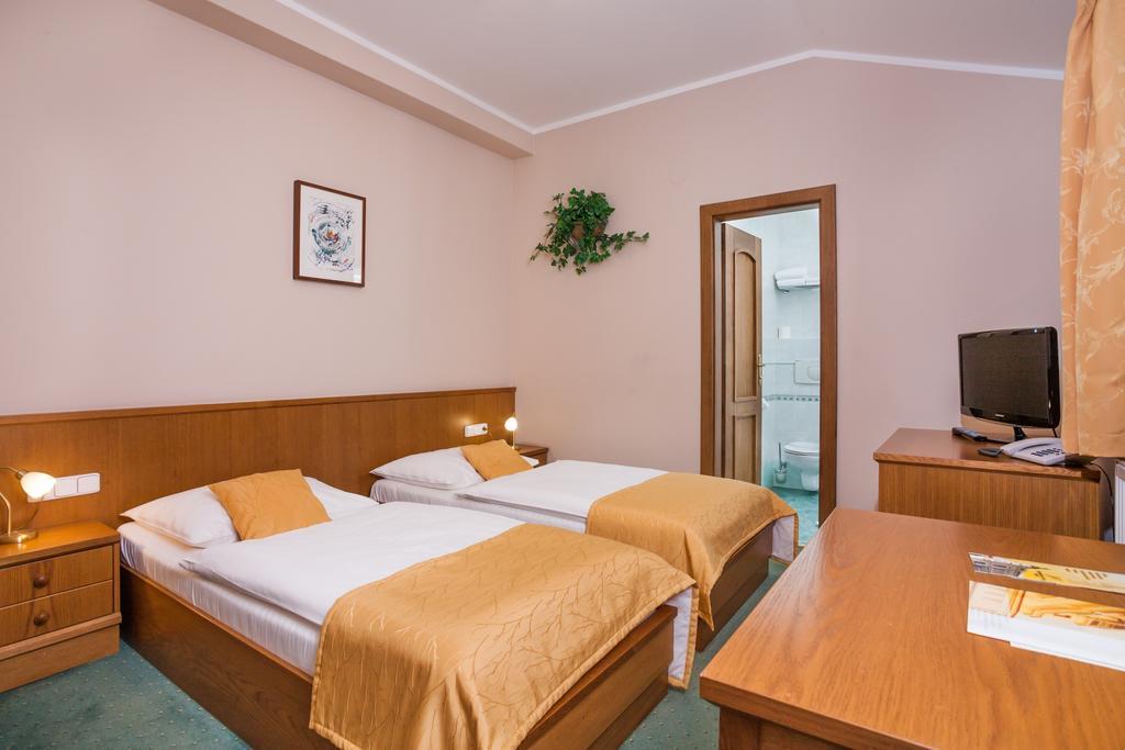 Hotel Jelinkova Vila Velké Meziříčí Værelse billede